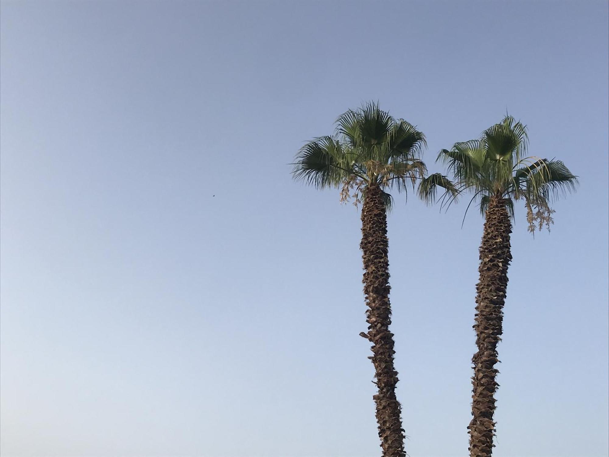 Casapiuholidaysicilia-Adults Only Noto Exterior photo