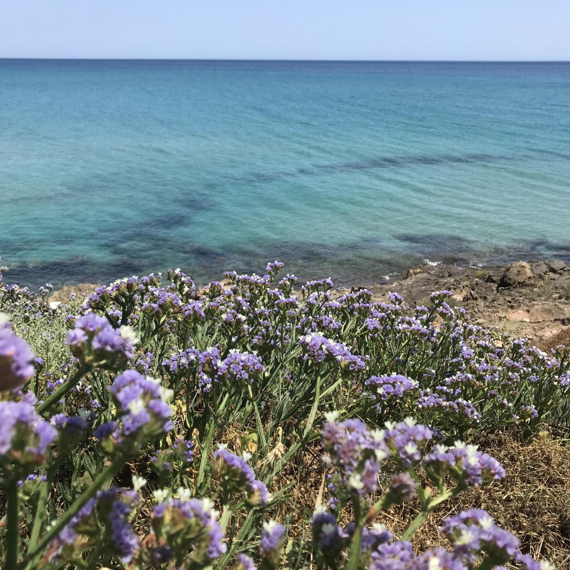 Casapiuholidaysicilia-Adults Only Noto Exterior photo